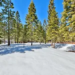 Tall Pines