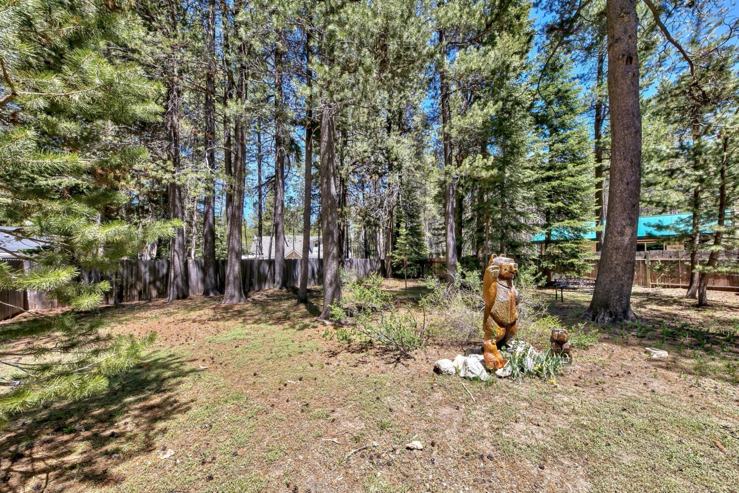 1207s In The Pines