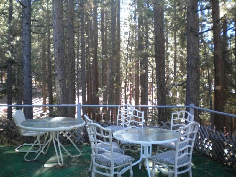3790 Needle Peak