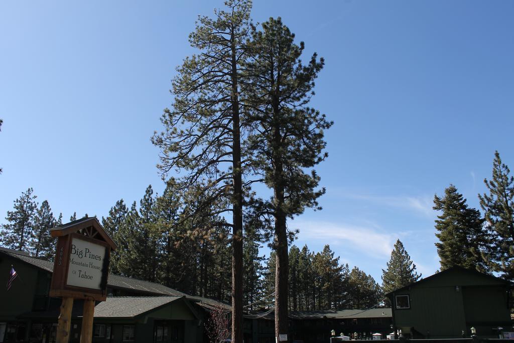 Big Pines Mountain House