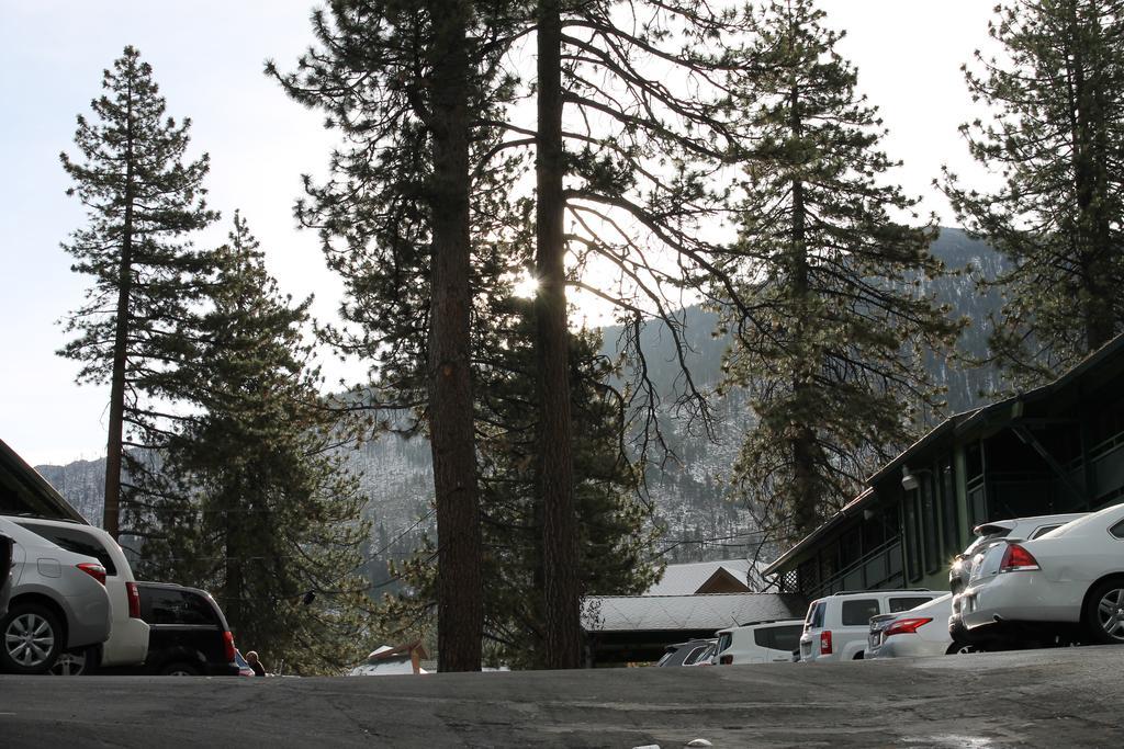 Big Pines Mountain House South Lake Tahoe