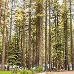 Tahoe Valley Cottage 2