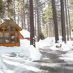 Cedar Pines Resort