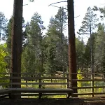 2853 Springwood Dr
