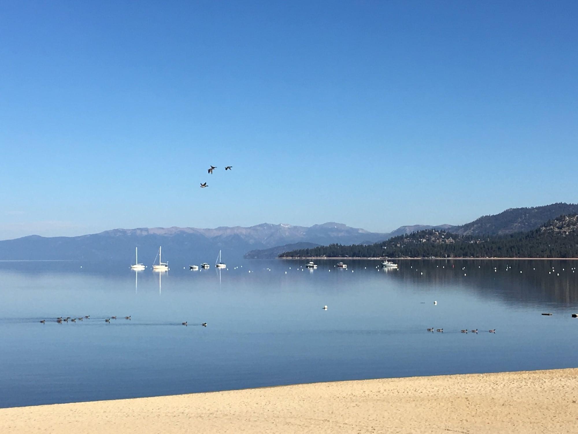 Tahoe Lakeshore & *