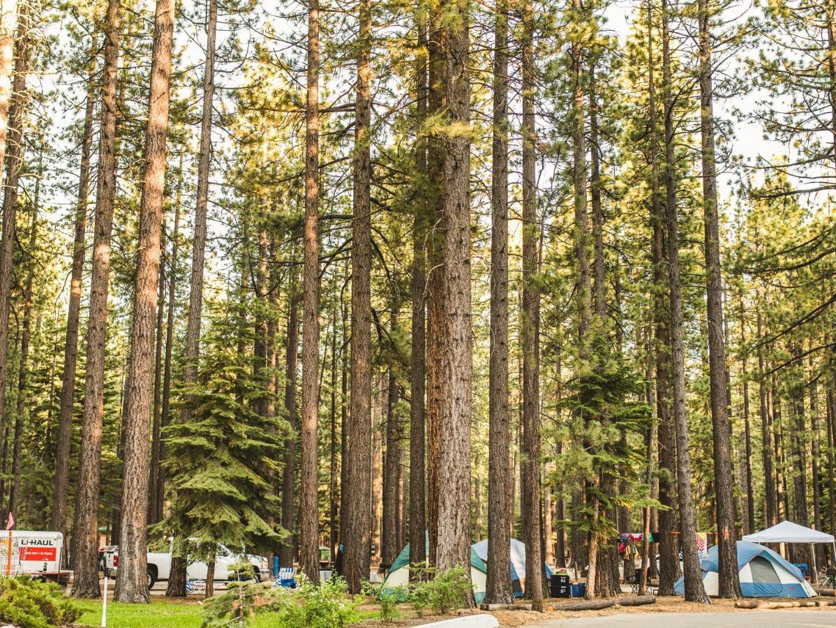 Tahoe Valley 2 Holiday home *
