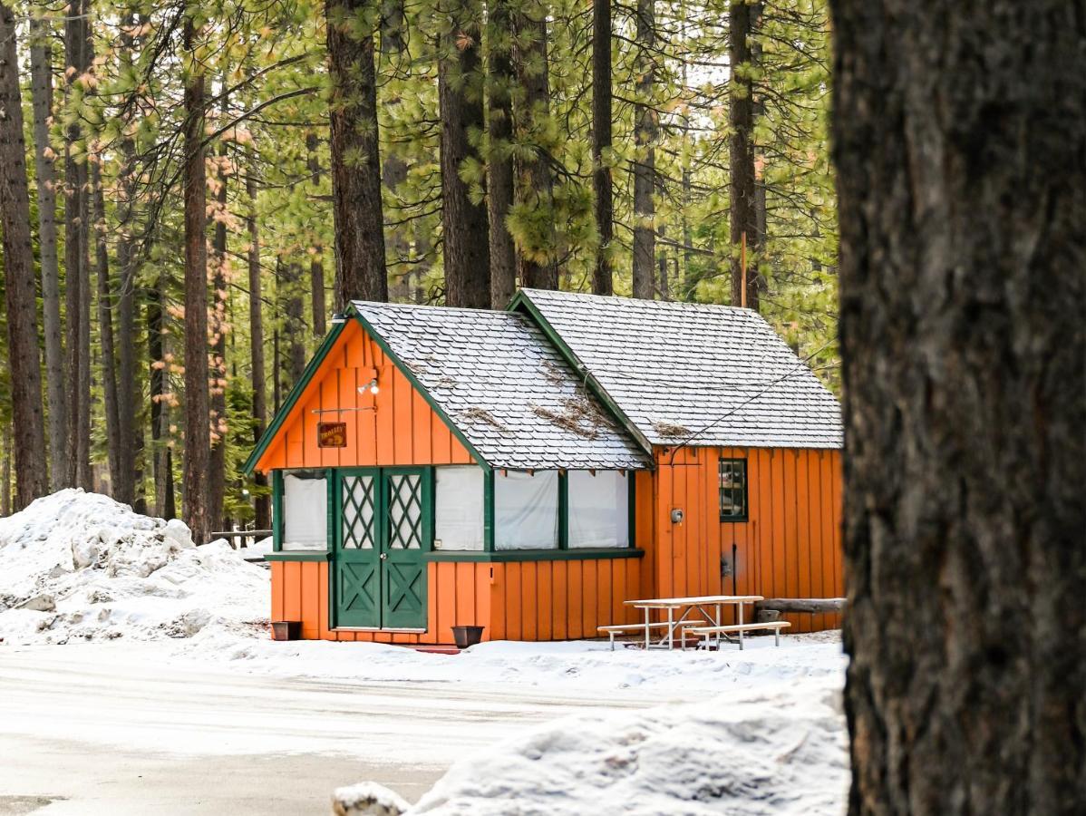 Tahoe Valley Cabin 1 Holiday home