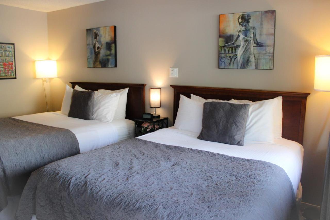 Hotel The Alder 3*