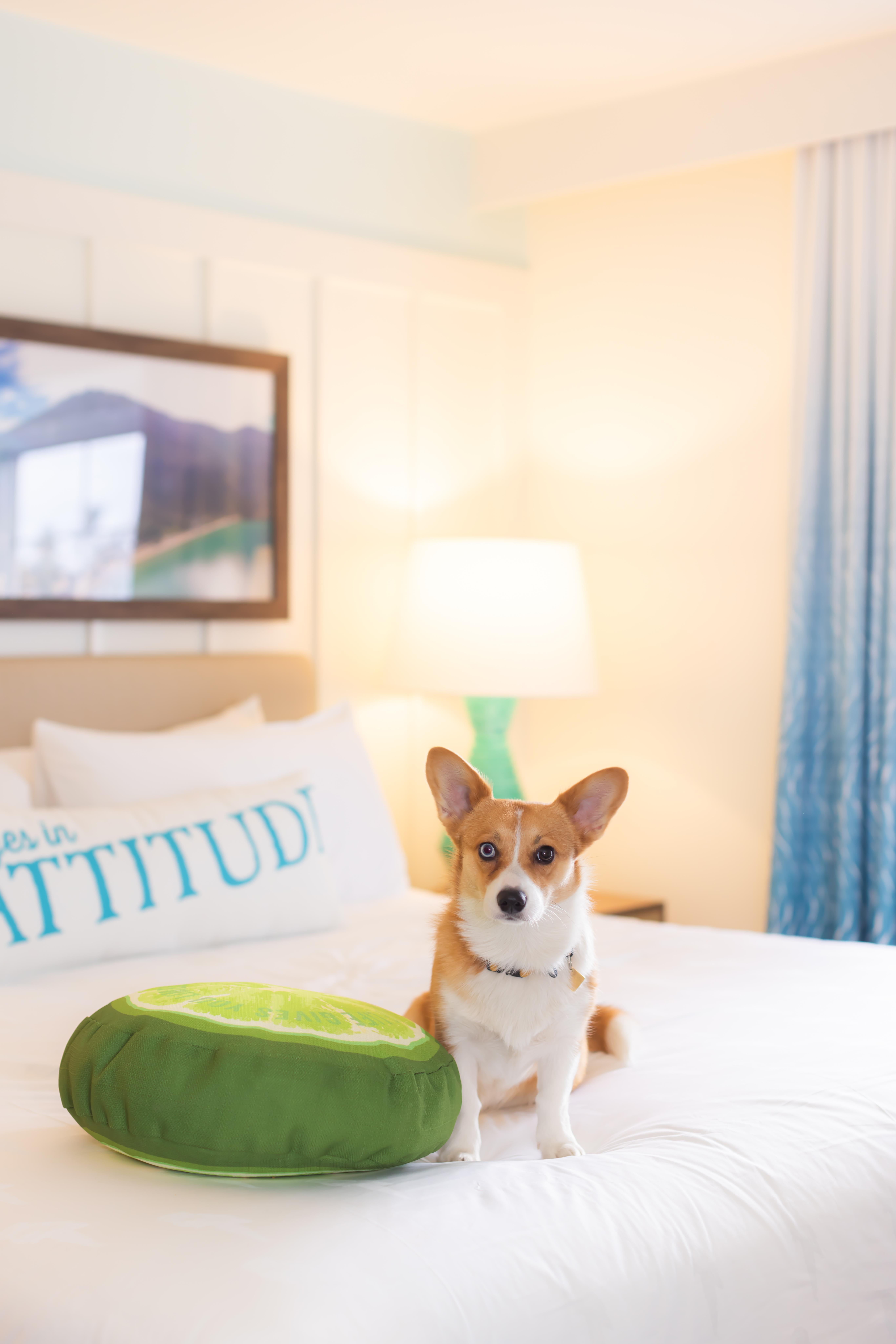 Margaritaville Tahoe Resort 4*