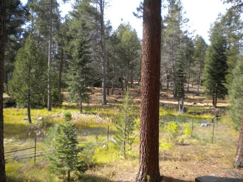 2853 Springwood Dr Holiday home South Lake Tahoe