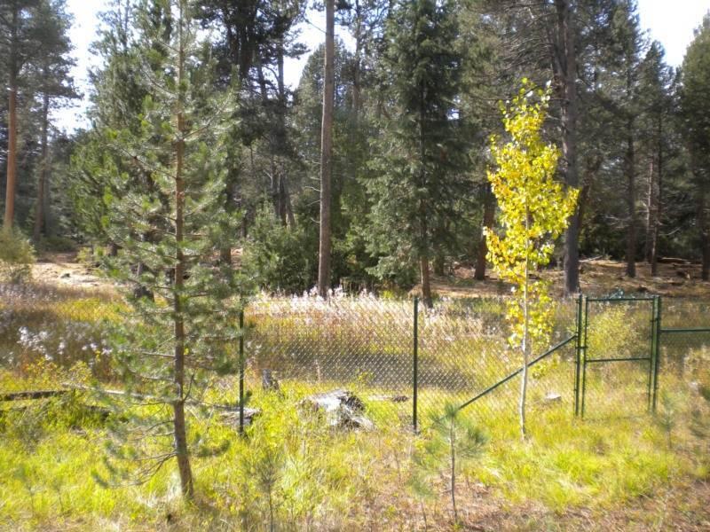 2853 Springwood Dr South Lake Tahoe