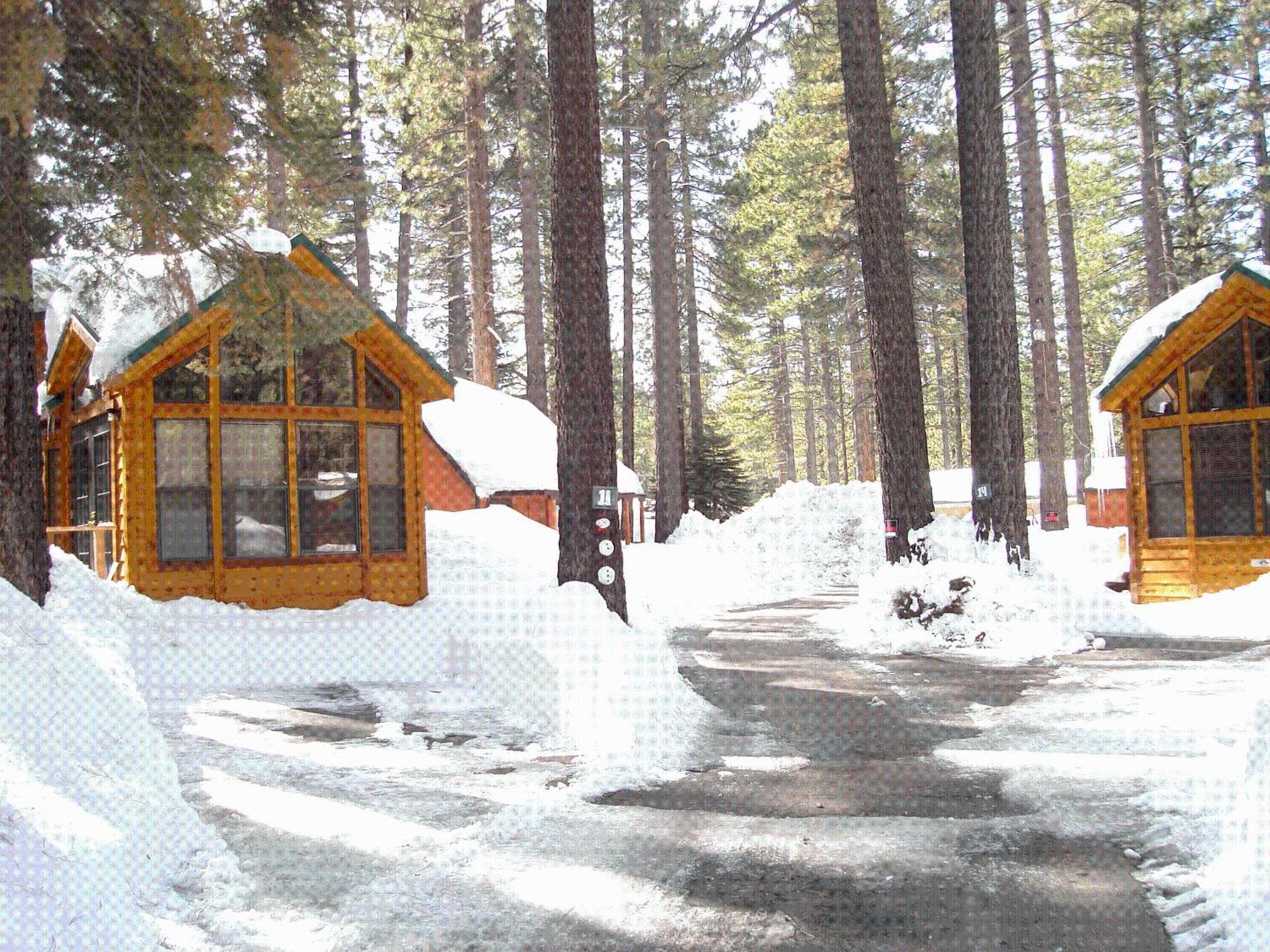 Holiday park Cedar Pines