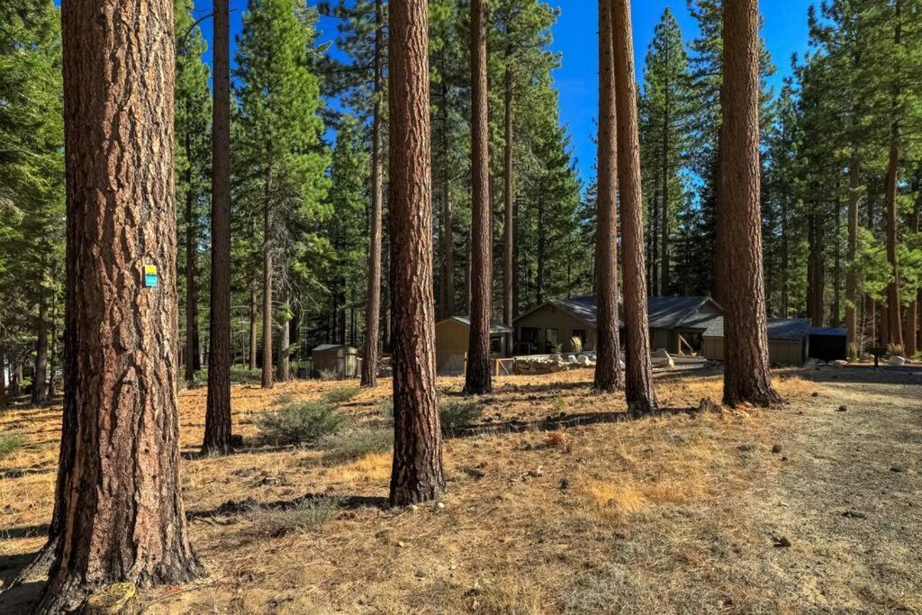Mountain Pine Memories - Dogs - Hot Tub - E-bikes Holiday home *
