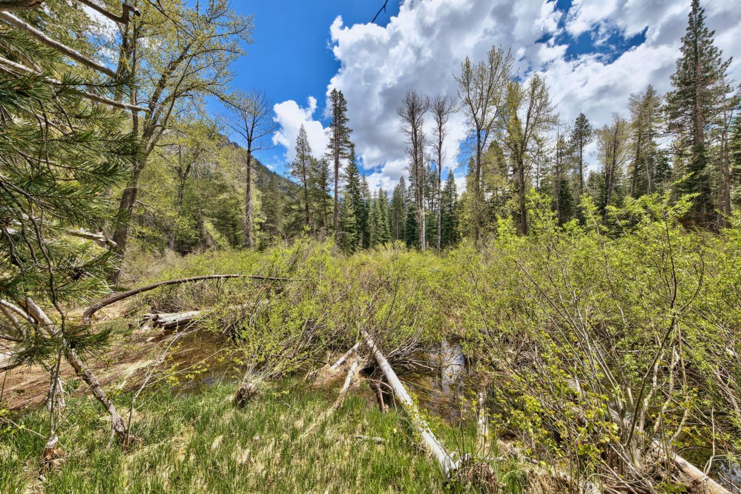 3685s River View Retreat South Lake Tahoe