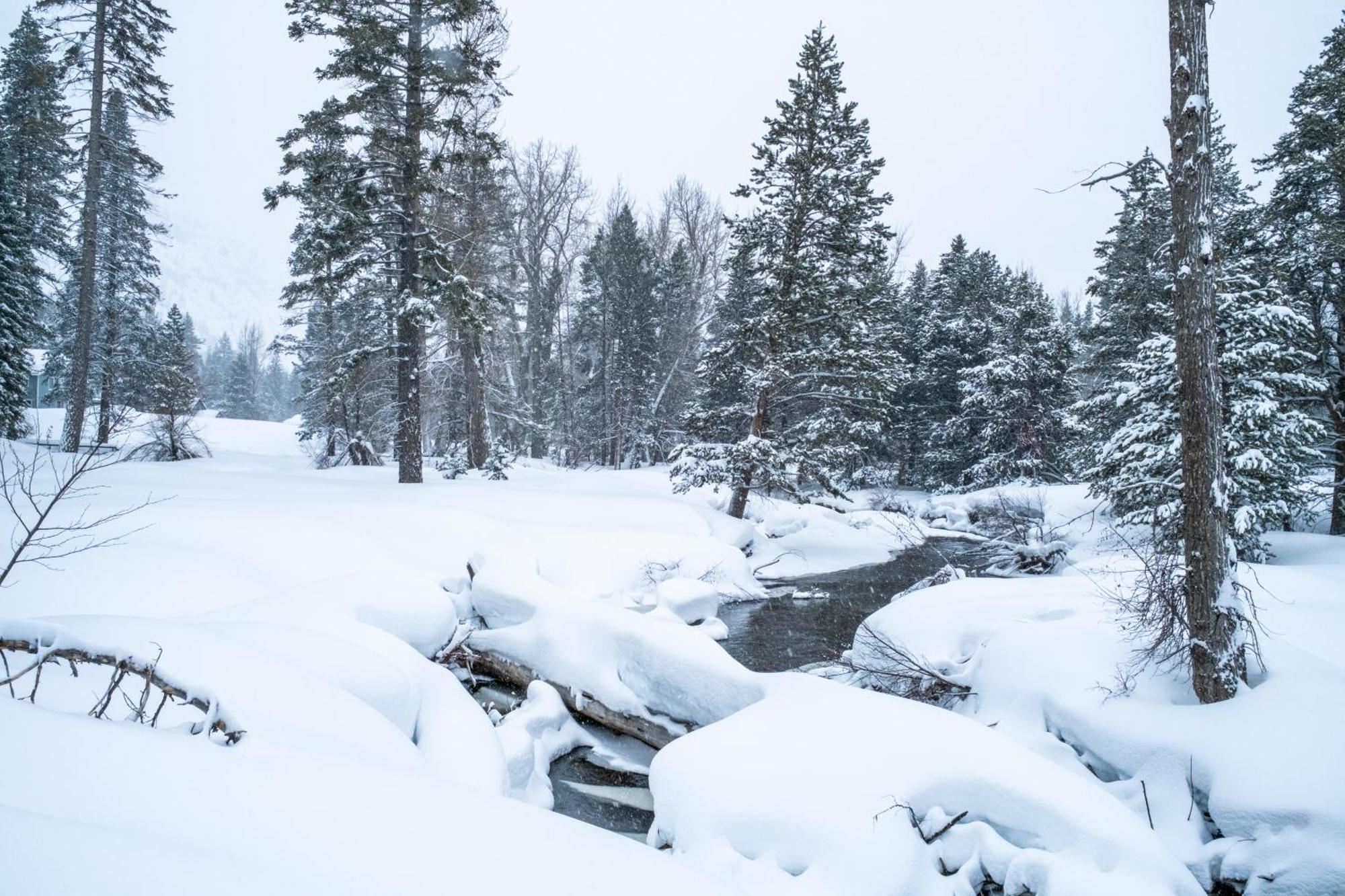 Holiday home 3685s River View Retreat South Lake Tahoe