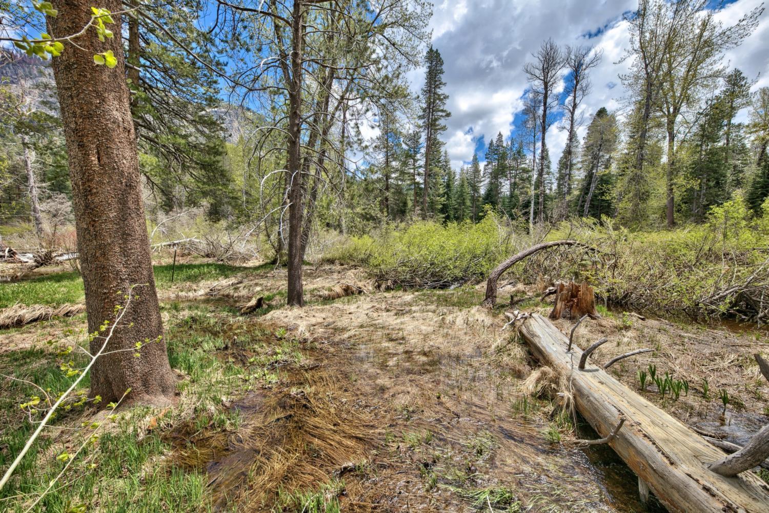 3685s River View Retreat South Lake Tahoe