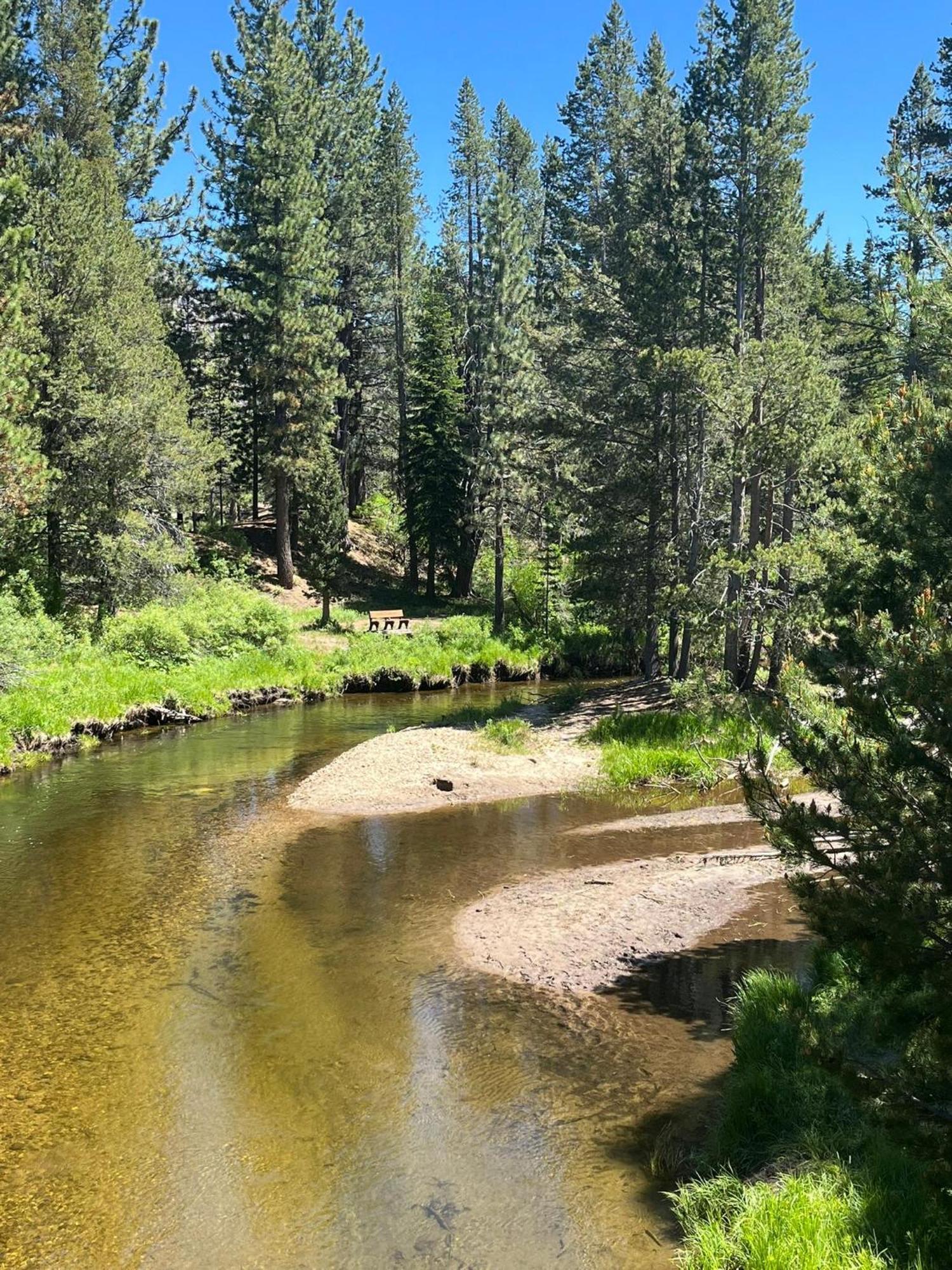 Cholula 811c * South Lake Tahoe