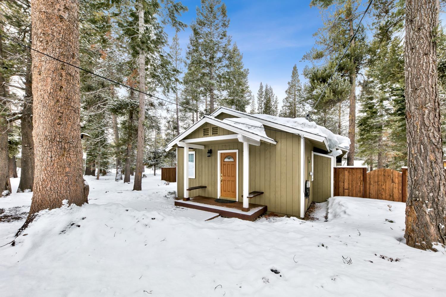 1540ts Snowy Owl South Lake Tahoe