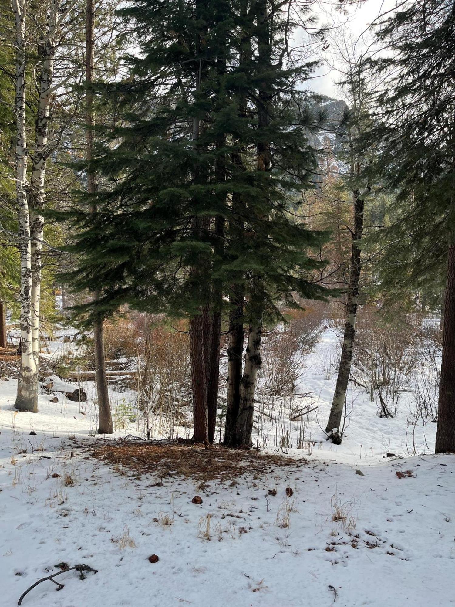 Holiday home 3685s River View Retreat *