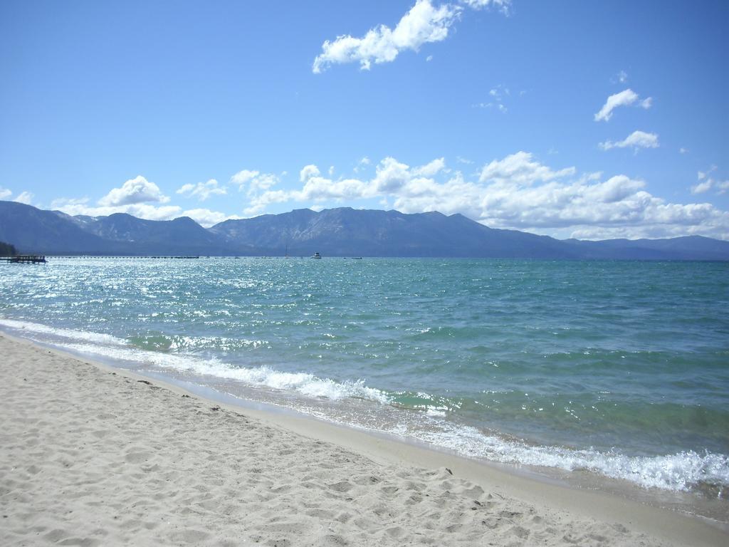 The Tahoe & Club Owners Association