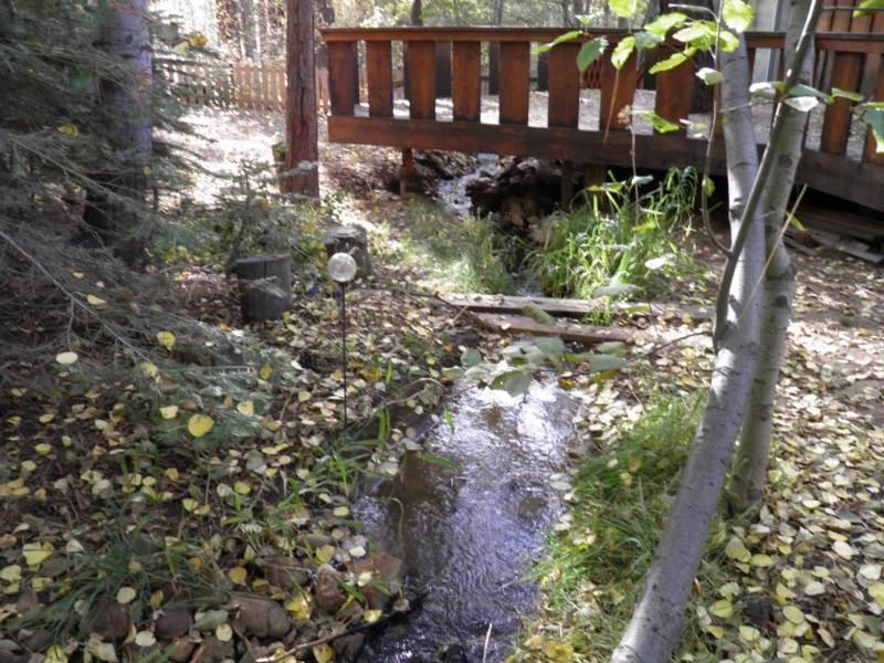 3710 Needle Peak Rd Holiday home