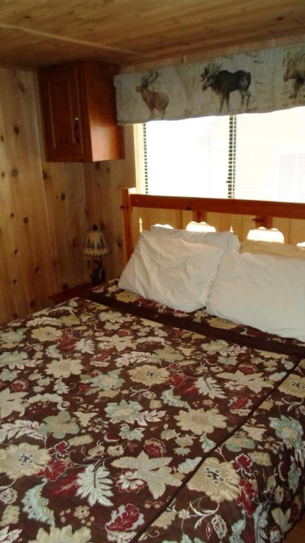 Cedar Pines Holiday park 3*