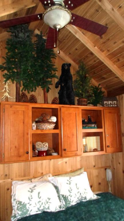 Cedar Pines 3*