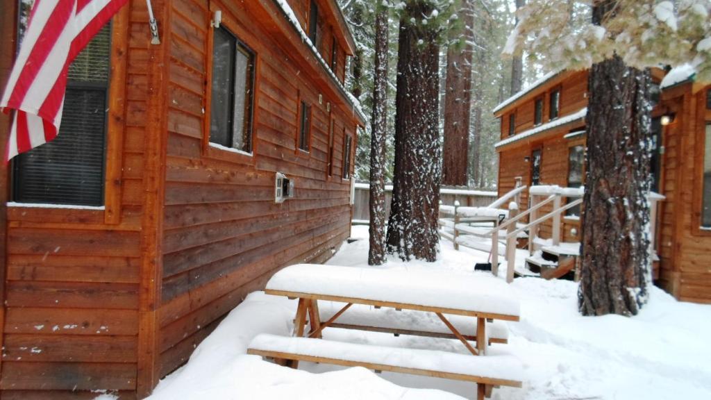 Cedar Pines Holiday park