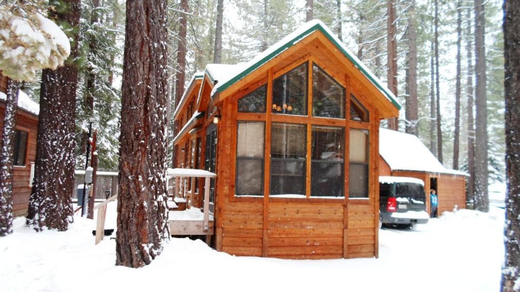 Cedar Pines 3*