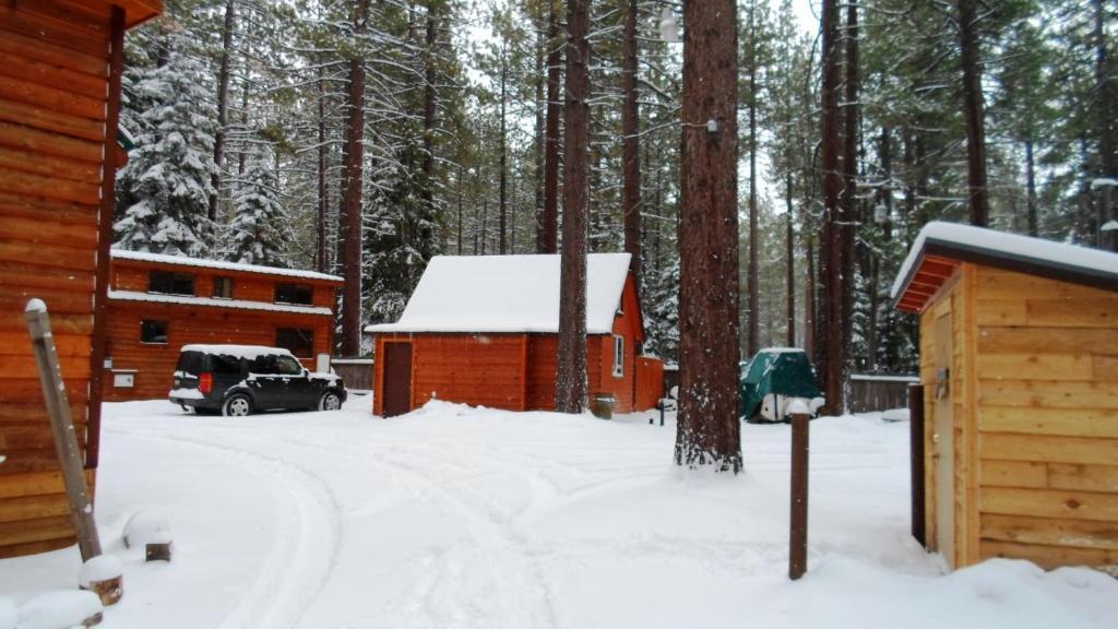 Cedar Pines Holiday park