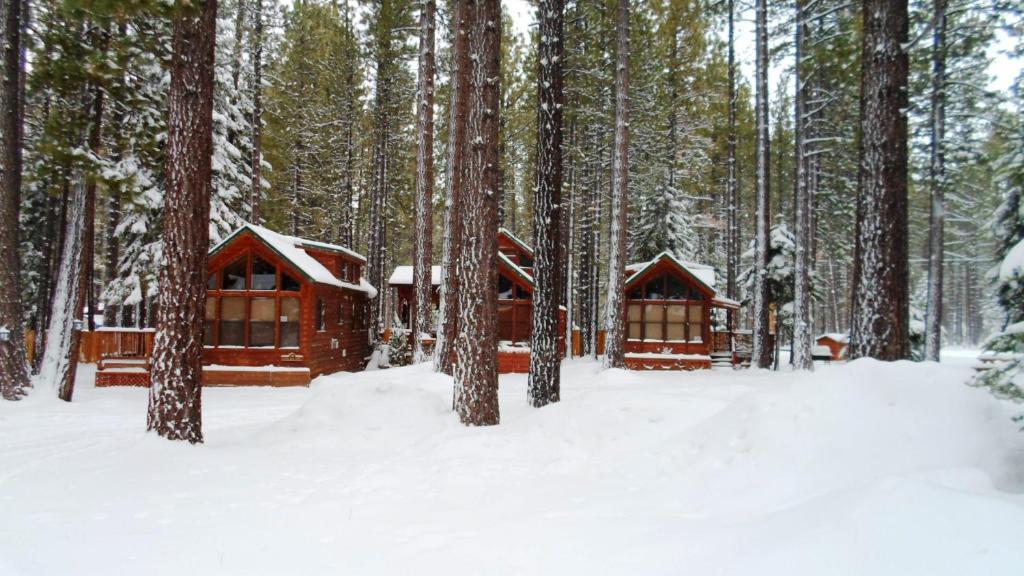 Holiday park Cedar Pines 3*