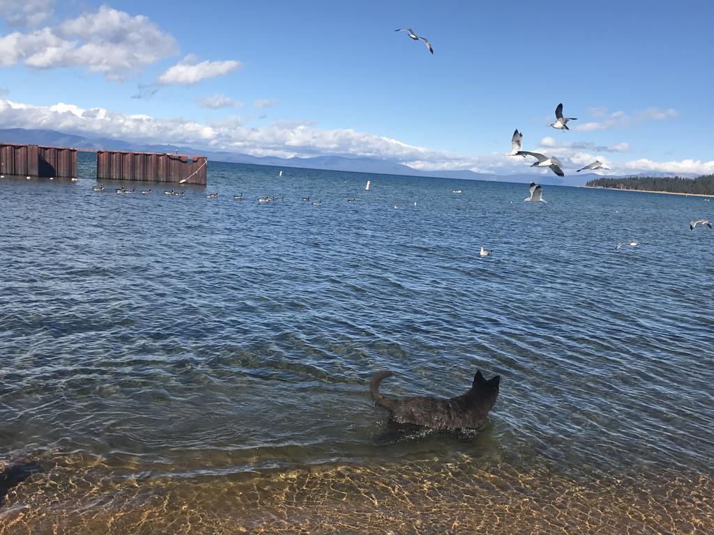 Motel Paradice South Lake Tahoe