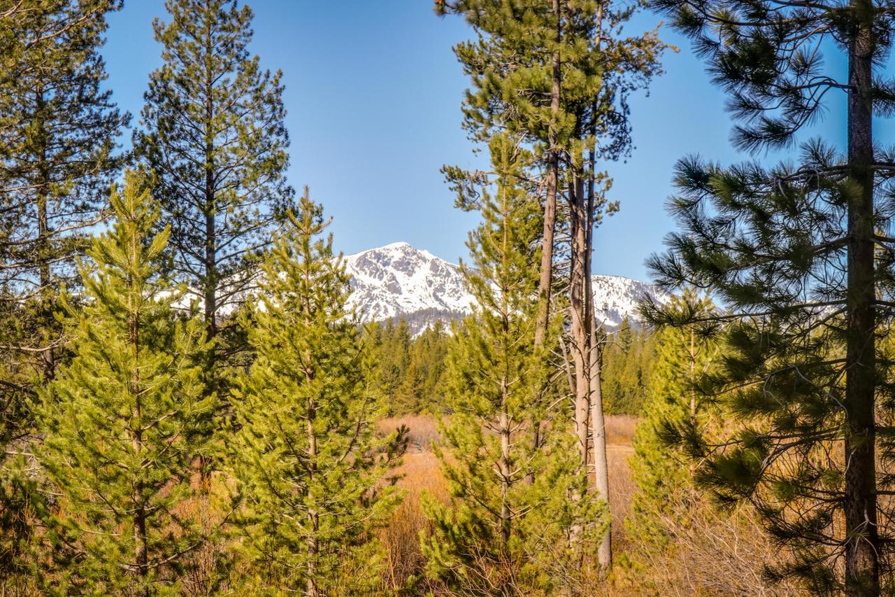 Cozy Seclusion South Lake Tahoe