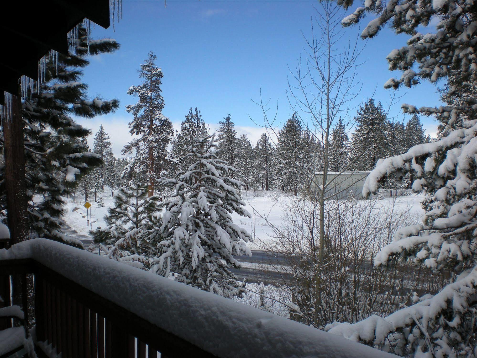Motel Ambassador Tahoe 2*