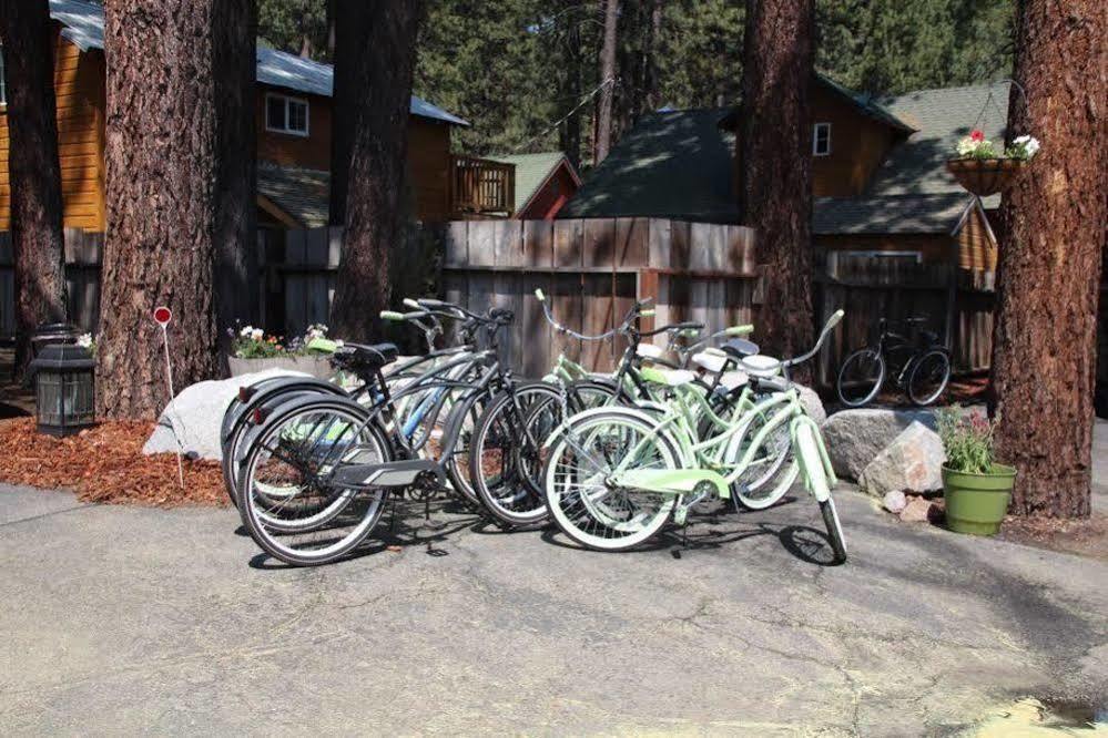 Hotel The Alder South Lake Tahoe