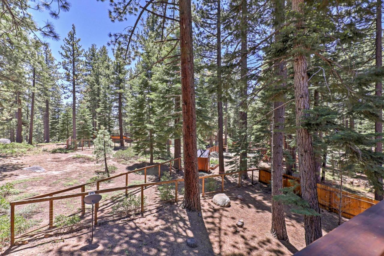 Holiday home Tahoe With Forest Views At Heavenly! South Lake Tahoe