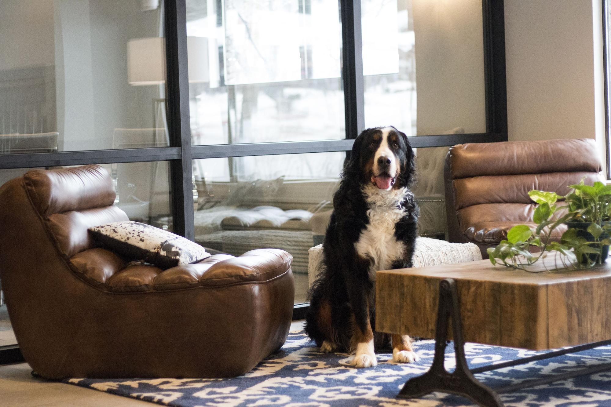 Becket, Bw Signature Collection 3* South Lake Tahoe