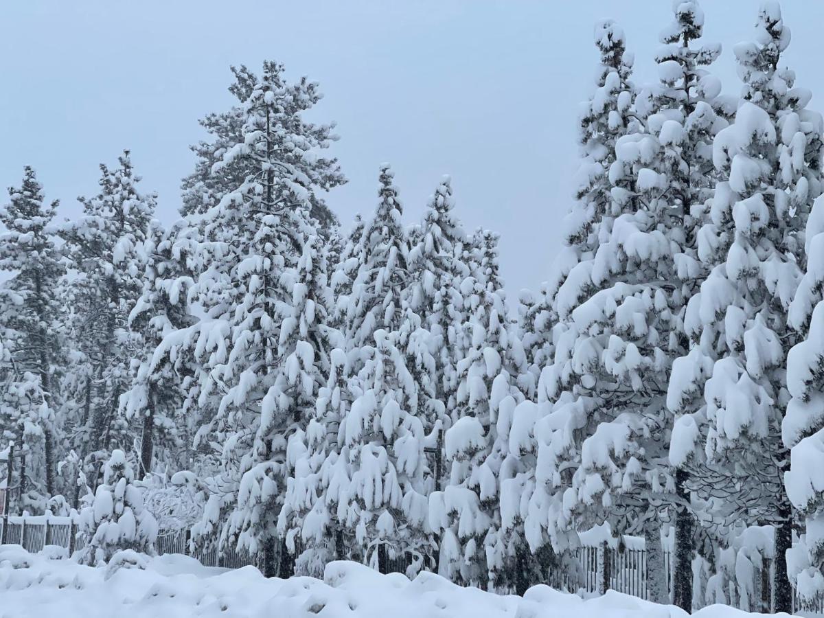 Pinewood * South Lake Tahoe