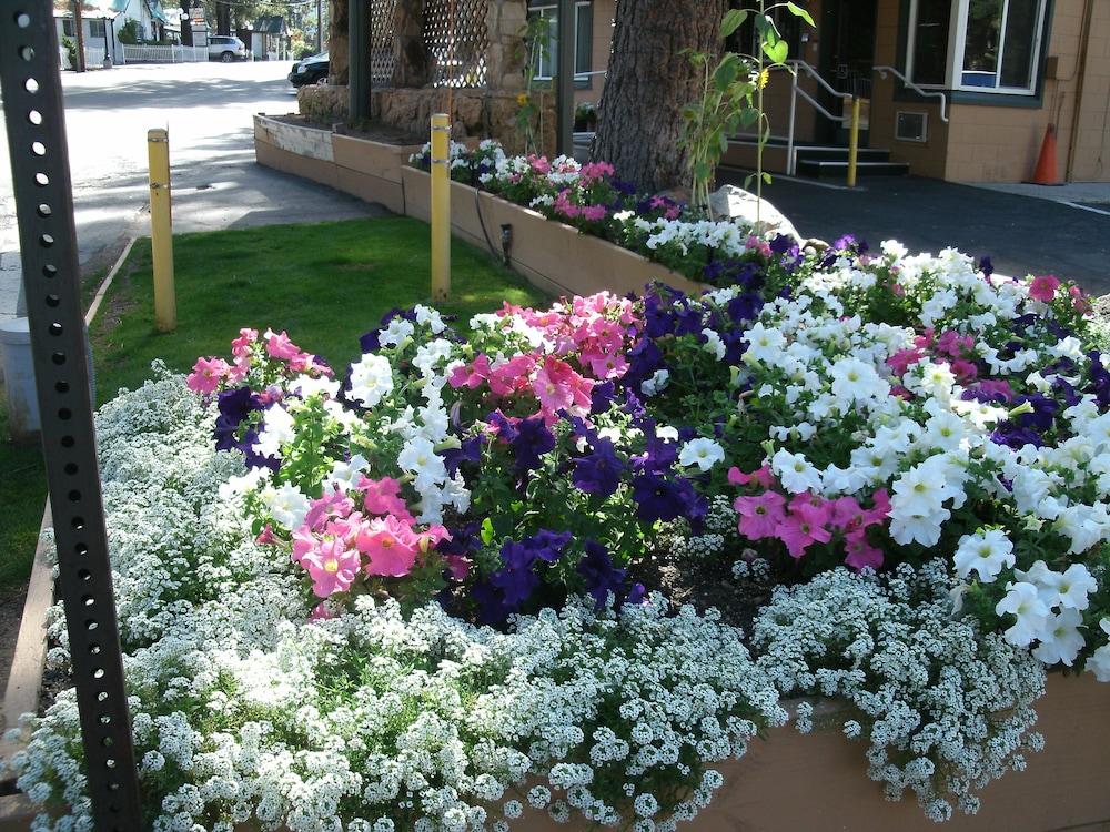 Hotel Alpine & South Lake Tahoe