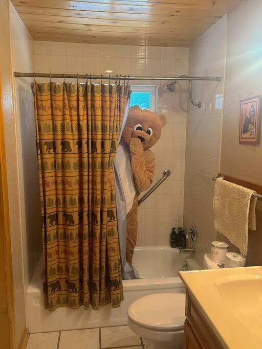 Tahoe Townie - Cozy In South Tahoe! * South Lake Tahoe