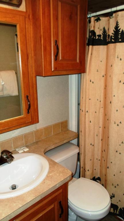 Holiday park Cedar Pines 3*