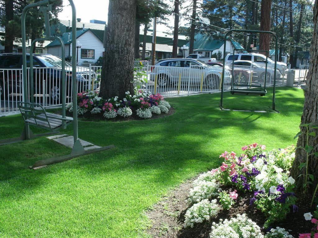 Hotel Alpine & 2*