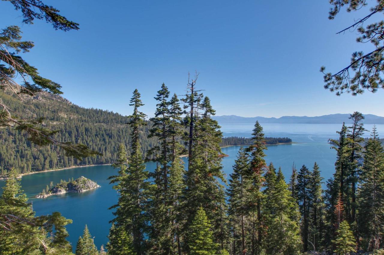 Spruce Grove Washoe Cabin Holiday home *