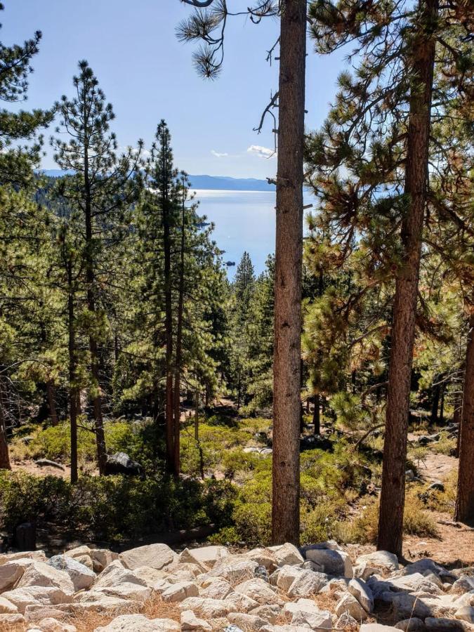 New Close To Heavenly W Pine Garden Holiday home